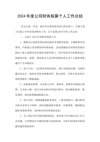 2024年度公司财务核算个人工作总结