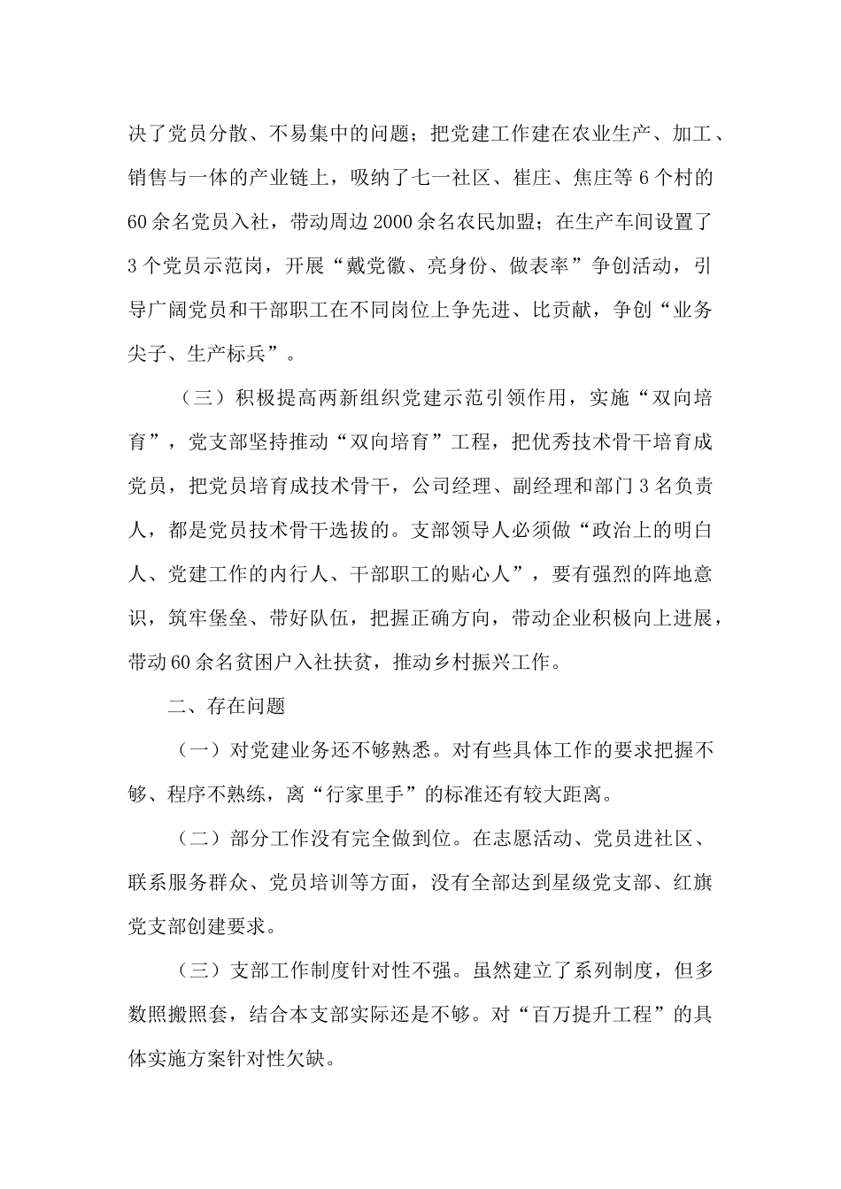 2024年度公司支部书记工作述职报告_第2页