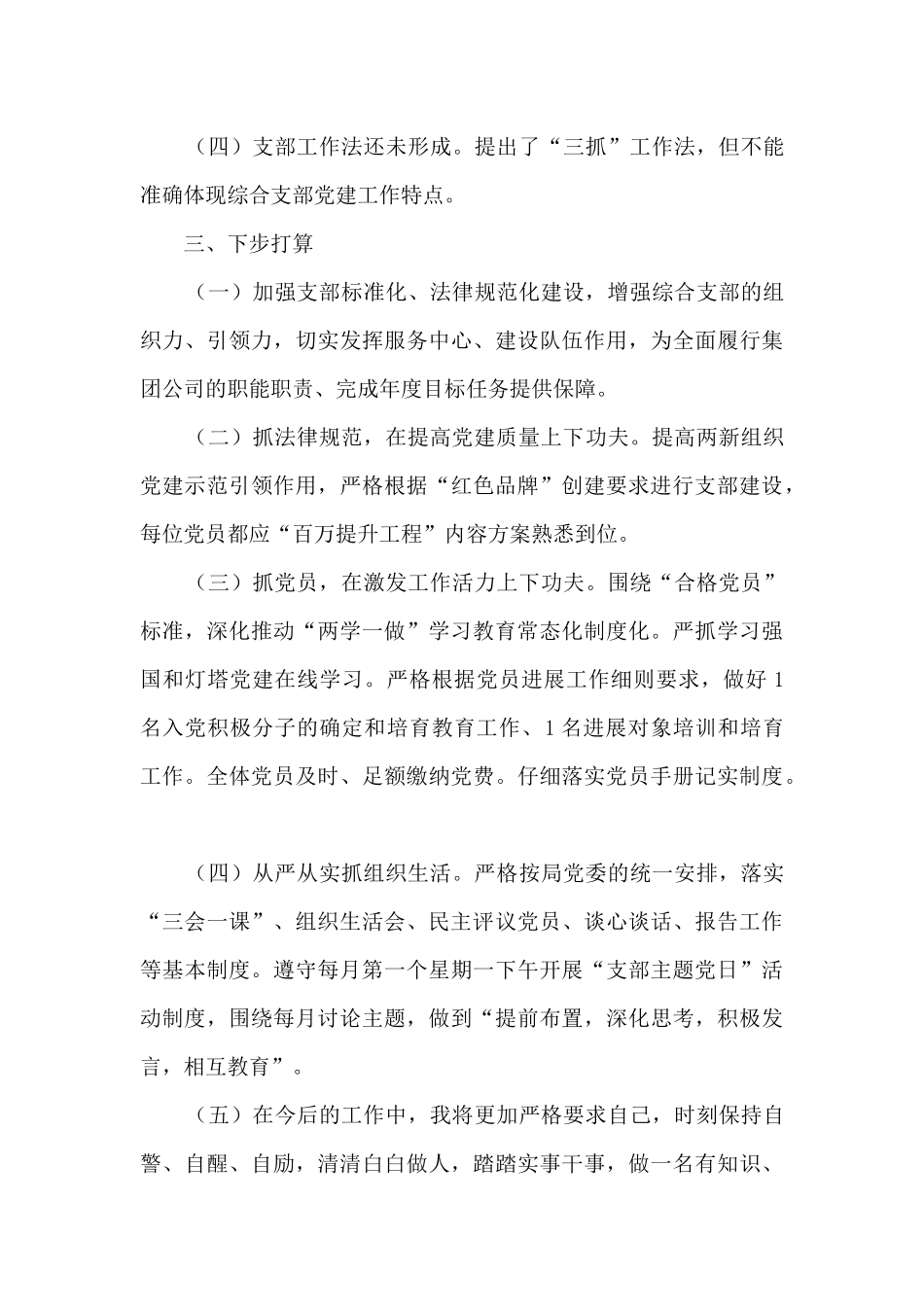 2024年度公司支部书记工作述职报告_第3页