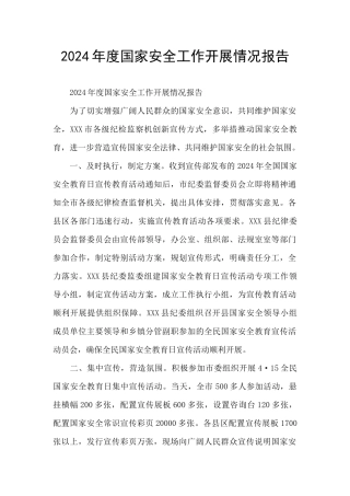 2024年度国家安全工作开展情况报告