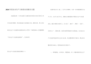 2024年度安全生产大检查自查报告五篇