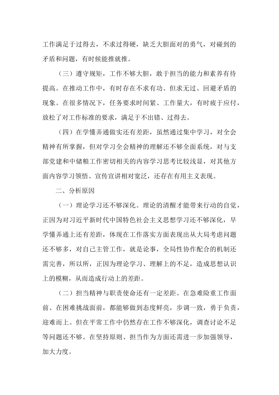 2024年度对照检查材料_第2页