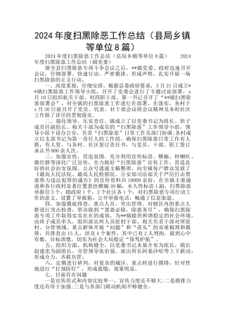 2024年度扫黑除恶工作总结