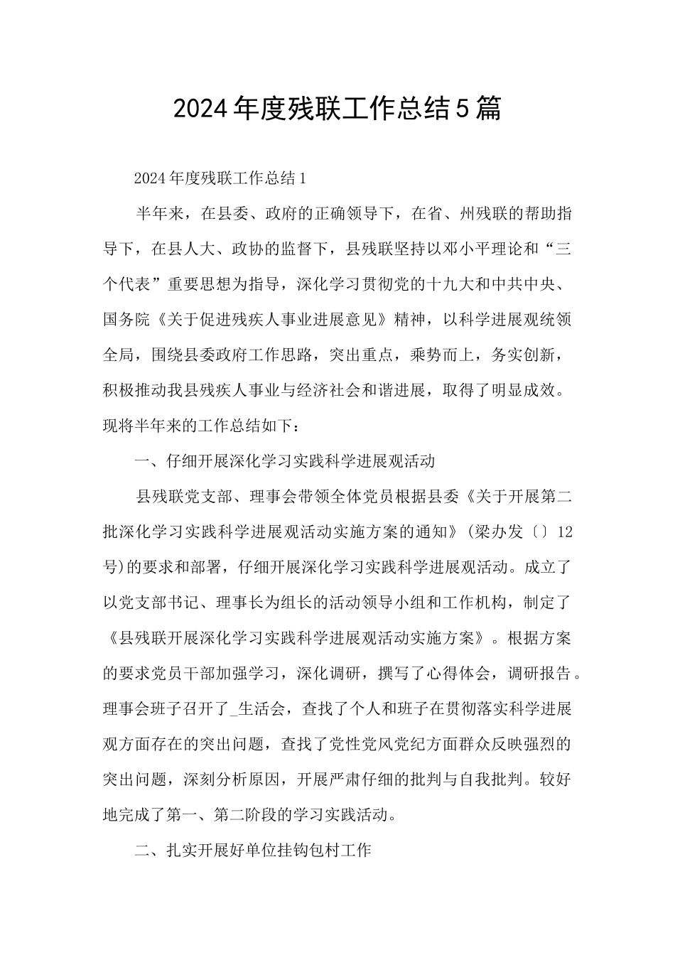 2024年度残联工作总结5篇_第1页