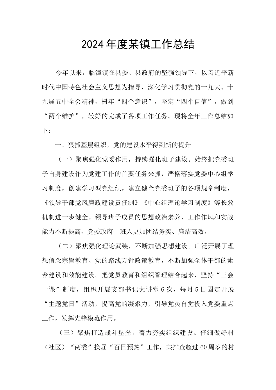 2024年度某镇工作总结_第1页