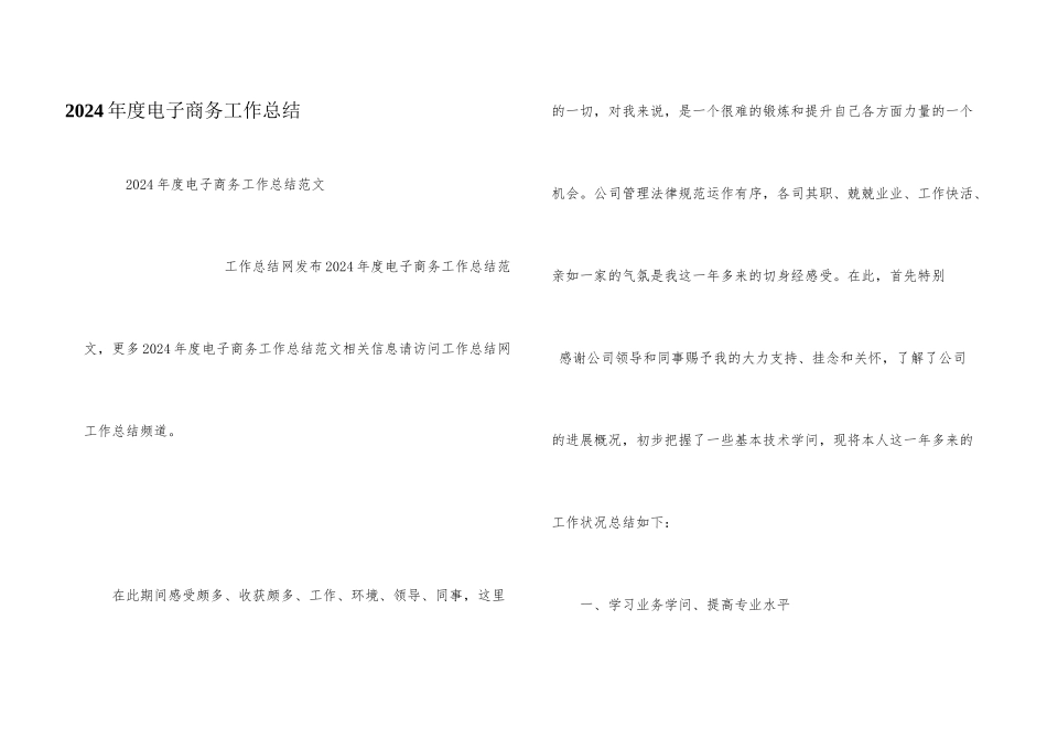 2024年度电子商务工作总结_第1页