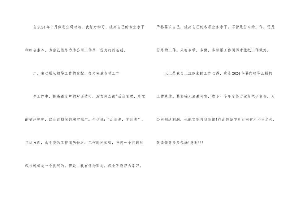 2024年度电子商务工作总结_第2页