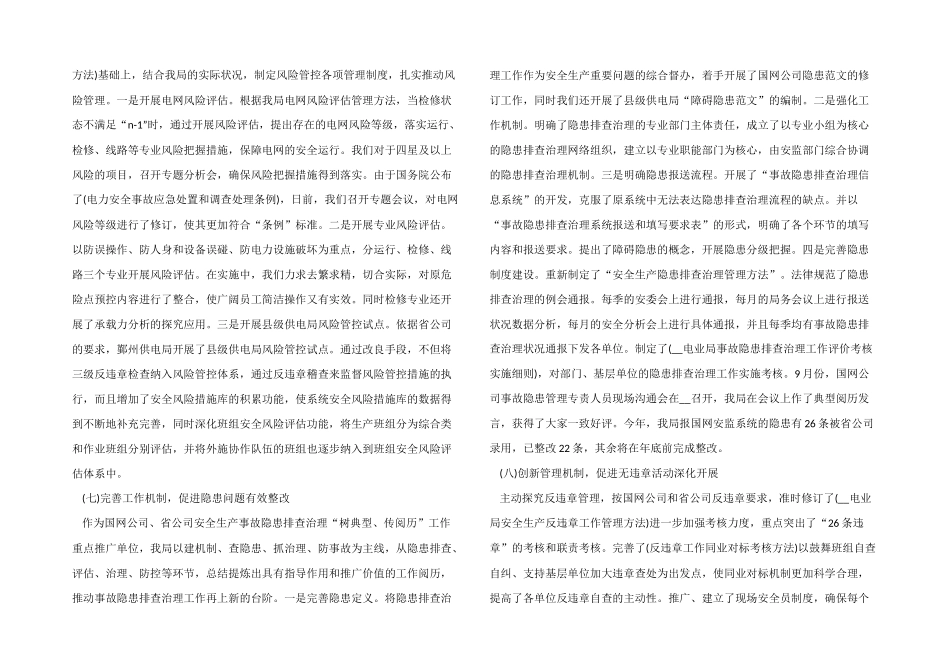 2024年度电力公司工作总结报告_第3页