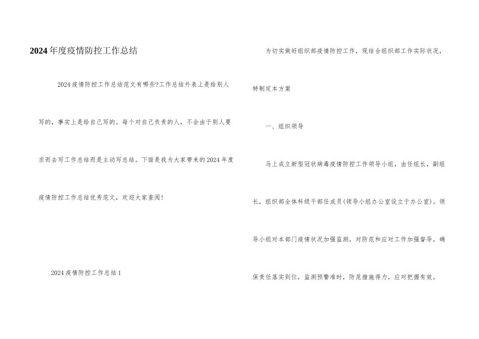 2024年度疫情防控工作总结_第1页