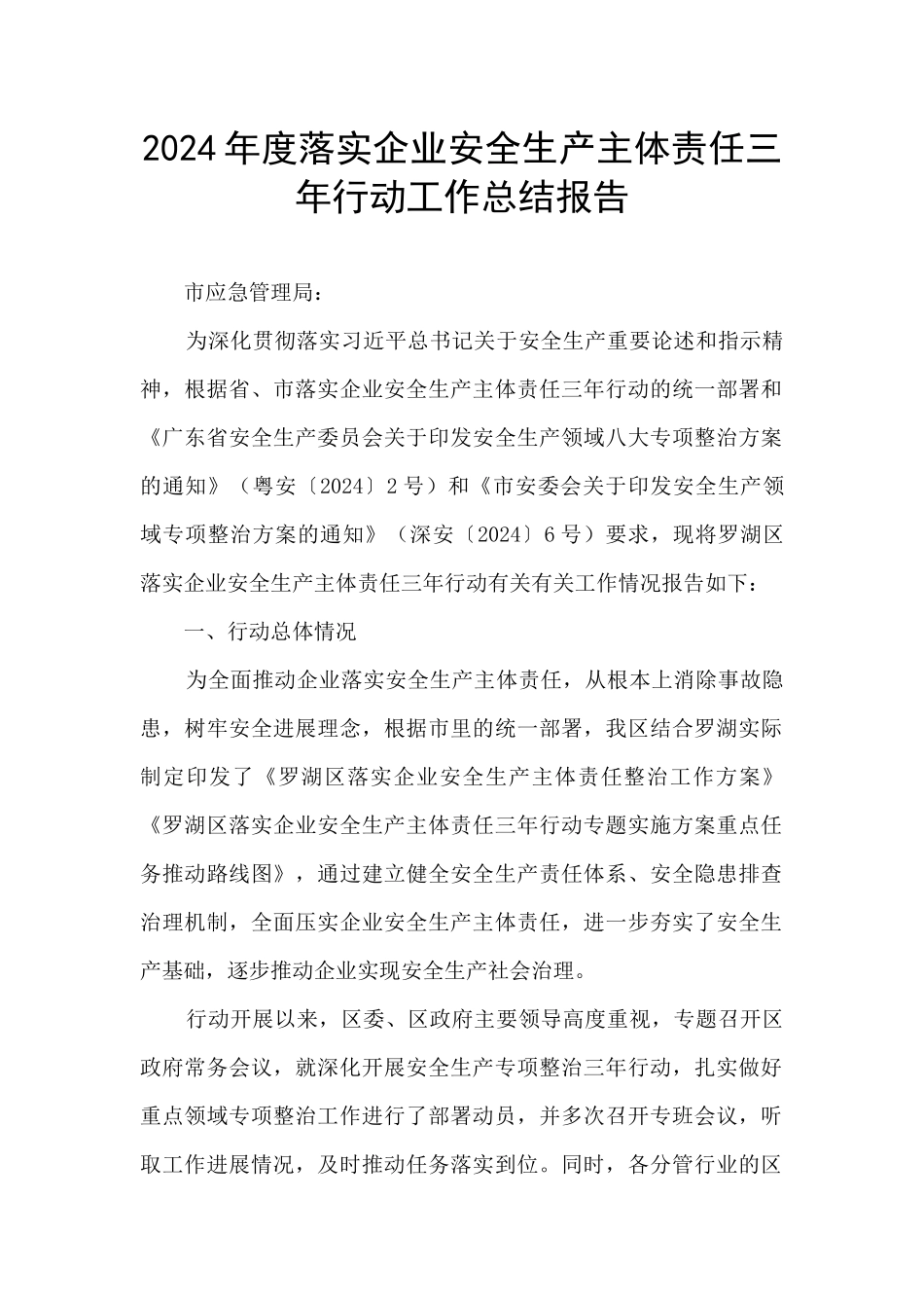 2024年度落实企业安全生产主体责任三年行动工作总结报告_第1页