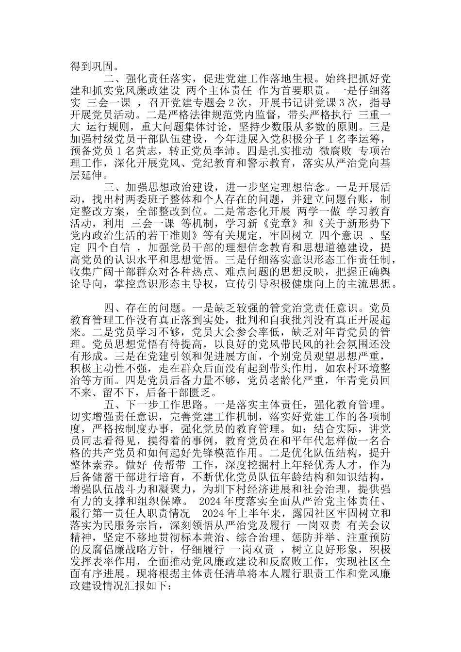 2024年度落实全面从严治党主体责任、履行第一责任人职责情况…_第2页