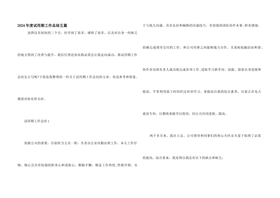 2024年度试用期工作总结五篇_第1页