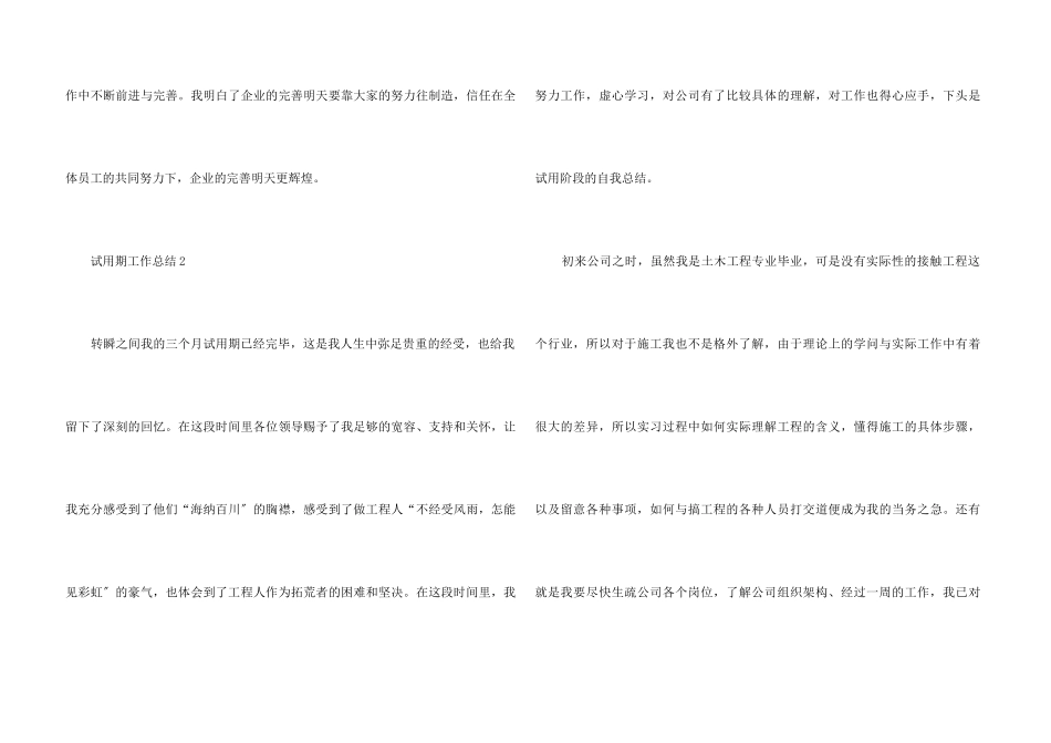 2024年度试用期工作总结五篇_第3页