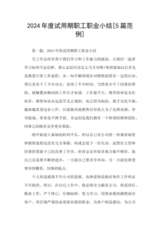 2024年度试用期职工职业小结