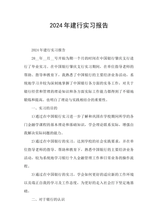 2024年建行实习报告