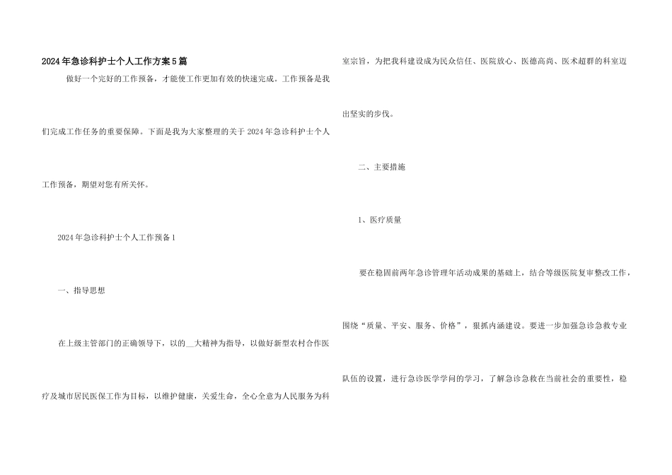 2024年急诊科护士个人工作计划5篇_第1页