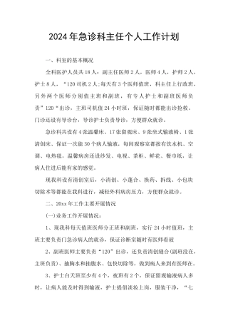 2024年急诊科主任个人工作计划