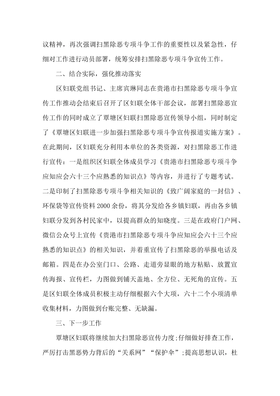 2024年扫黑除恶收官之年总结_第3页