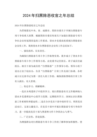 2024年扫黑除恶收官之年总结