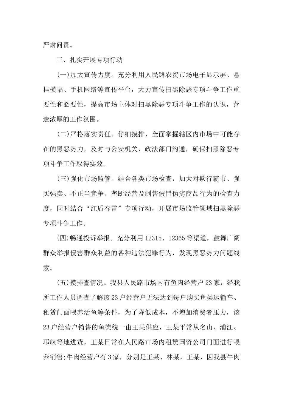 2024年扫黑除恶常态化工作总结_第2页