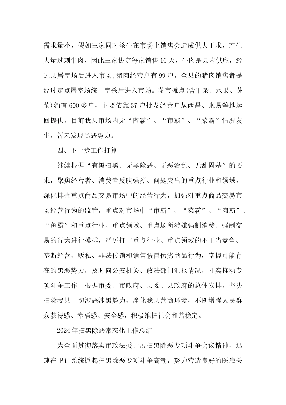 2024年扫黑除恶常态化工作总结_第3页