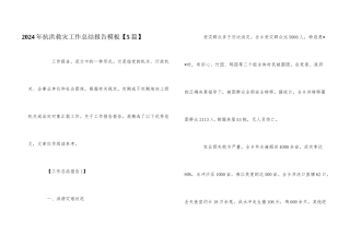 2024年抗洪救灾工作总结报告模板