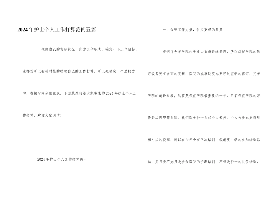 2024年护士个人工作计划范例五篇_第1页