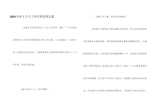 2024年护士个人工作计划范例五篇