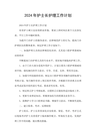 2024年护士长护理工作计划