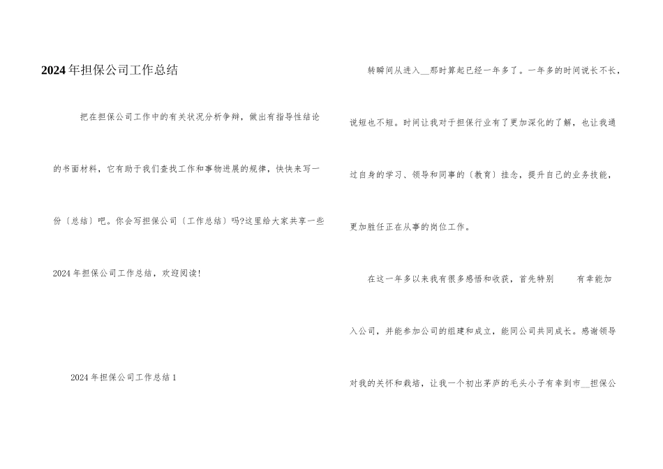 2024年担保公司工作总结_第1页