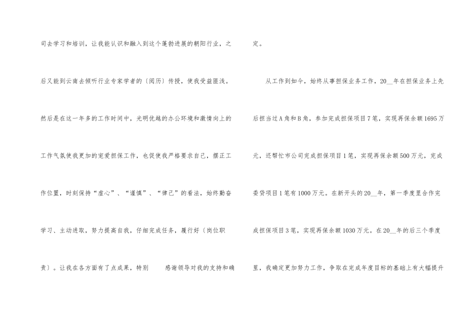 2024年担保公司工作总结_第2页