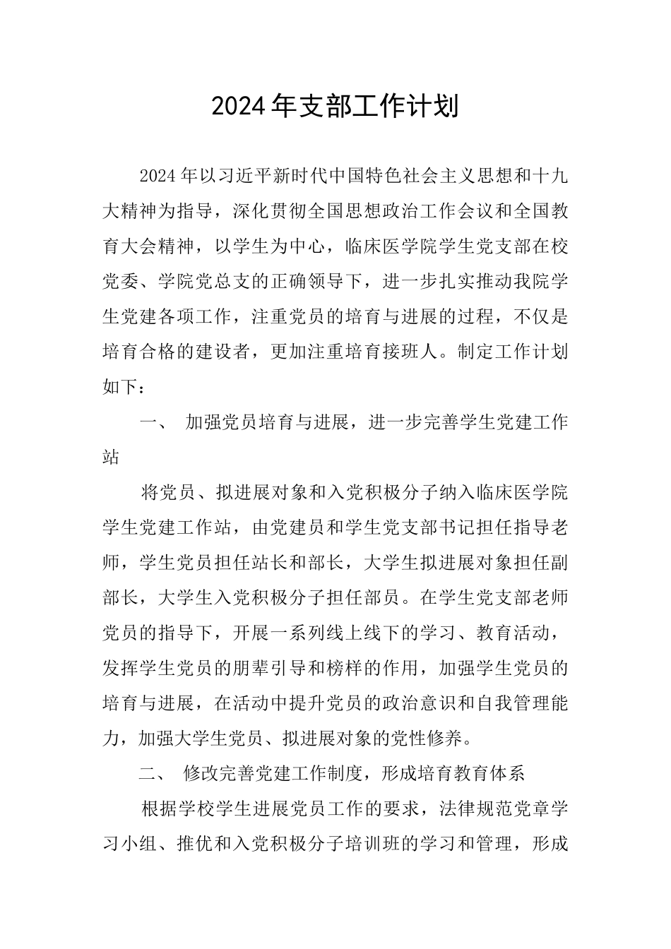 2024年支部工作计划_第1页