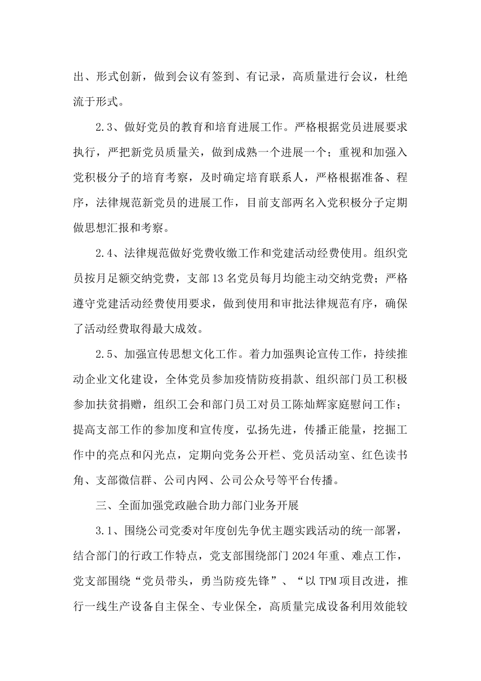 2024年支部工作总结_第3页