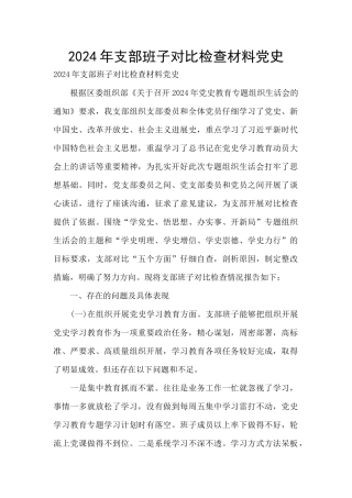 2024年支部班子对照检查材料党史