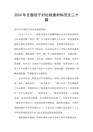 2024年支部班子对照检查材料范文二十篇