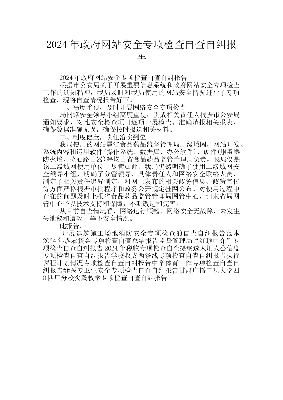 2024年政府网站安全专项检查自查自纠报告_第1页