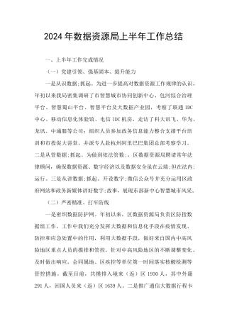 2024年数据资源局上半年工作总结