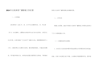 2024年文化体育广播影视工作计划