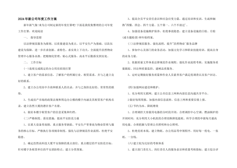 2024年新公司年度工作计划_第1页