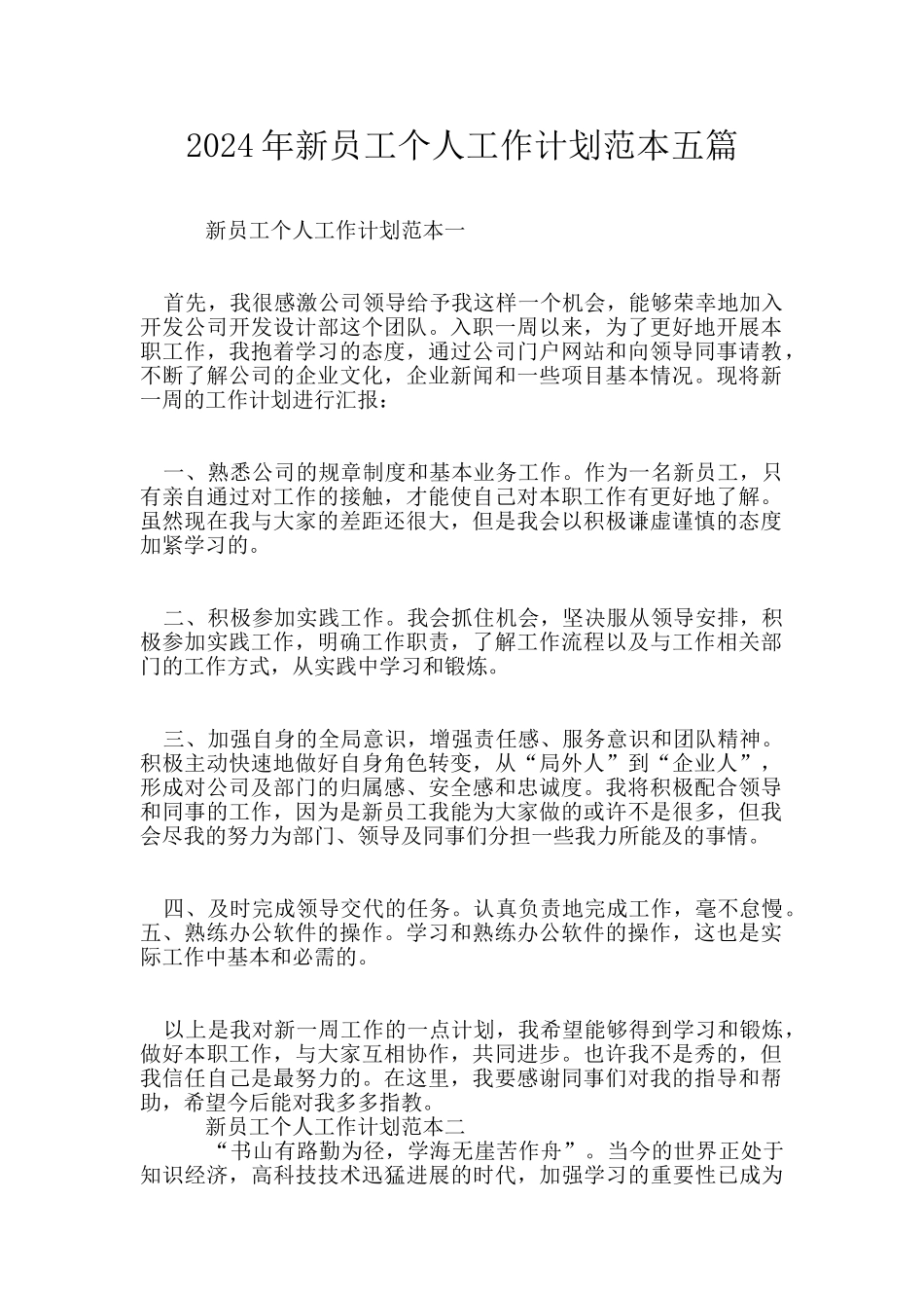 2024年新员工个人工作计划范本五篇_第1页