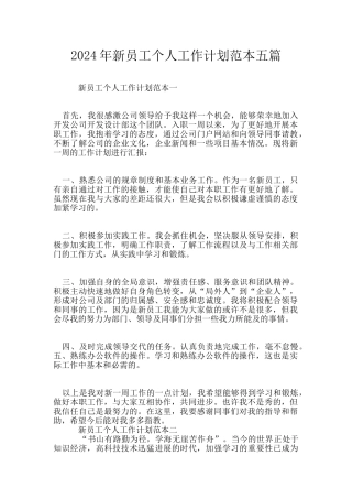 2024年新员工个人工作计划范本五篇