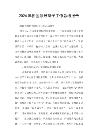 2024年新区领导班子工作总结报告