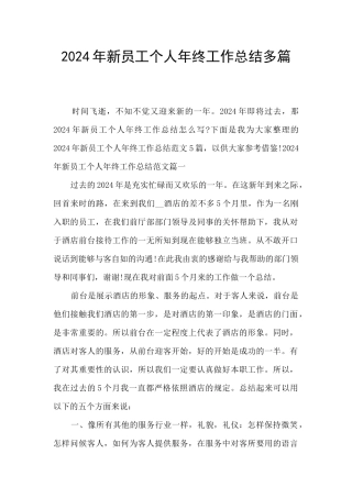 2024年新员工个人年终工作总结多篇