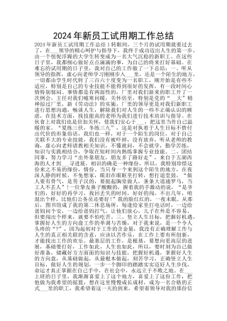 2024年新员工试用期工作总结