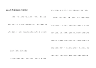 2024年春晚观后感心得感想