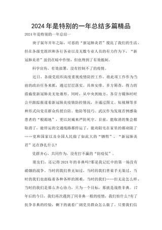 2024年是特殊的一年总结多篇精品