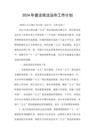 2024年普法依法治市工作计划