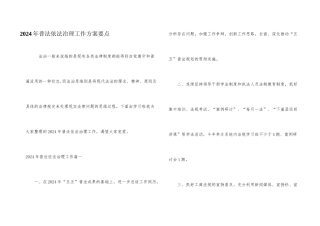 2024年普法依法治理工作方案要点