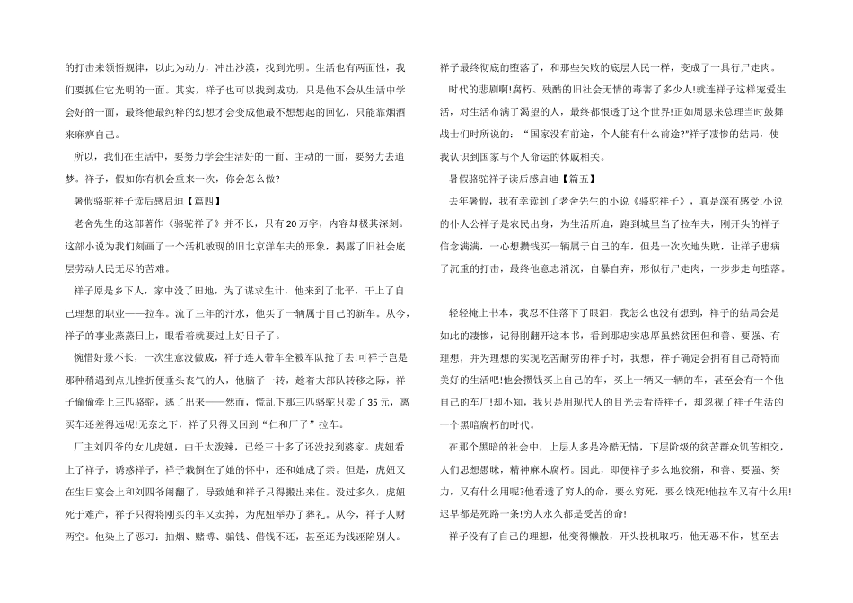 2024年暑假骆驼祥子读后感启迪_第3页