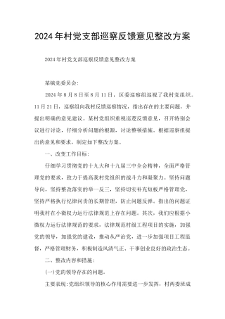 2024年村党支部巡察反馈意见整改方案